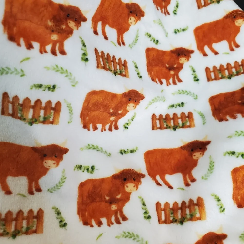 Highland Cow Brown Lovey Baby Security Blanket Minky Plush 14